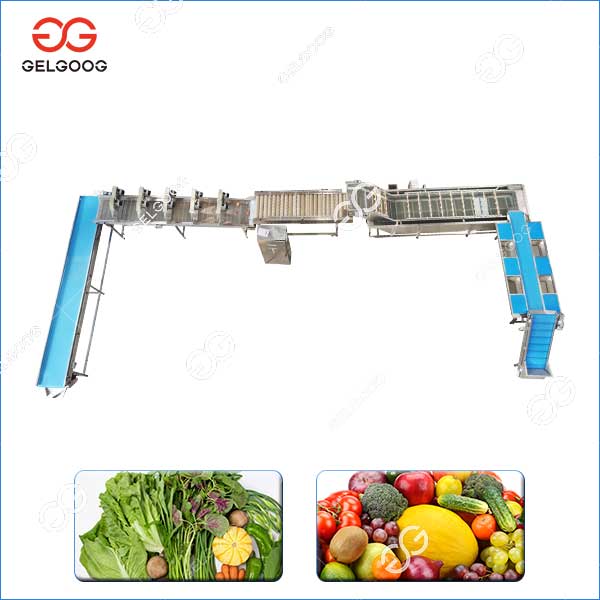 Industial Fruit And Vegteable Washing Drying Machine Plant